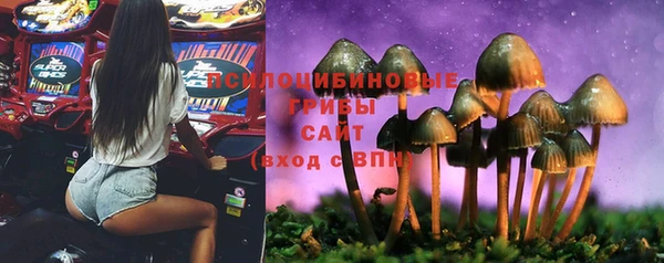 соль курить ск Пересвет